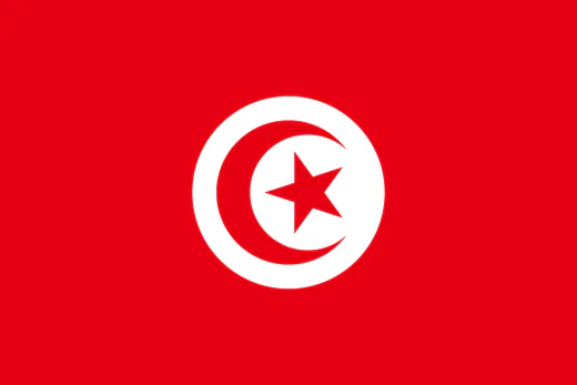 Сборная Туниса на ЧМ 2026 шансы и прогнозы группа F