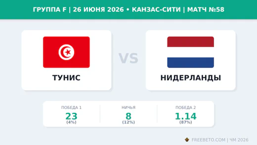 Матч Тунис — Нидерланды