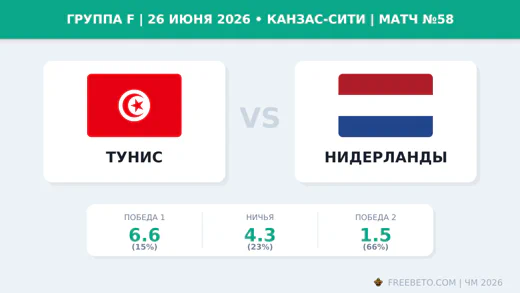 Матч Тунис — Нидерланды